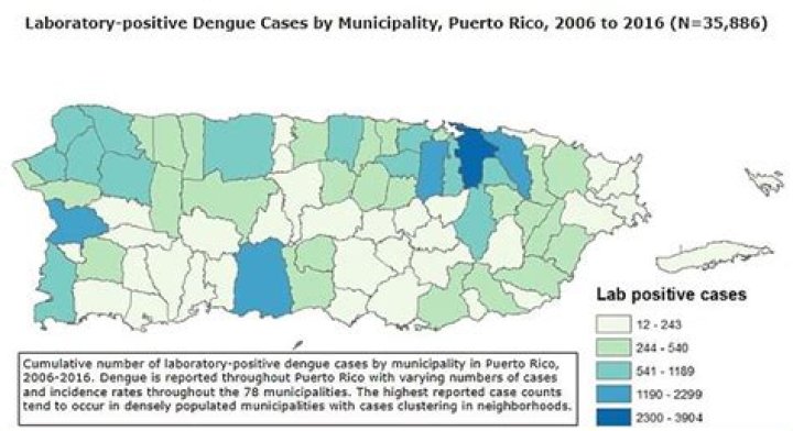 Puerto Rico Dengue Epidemic: Understanding the Crisis and Its Impact