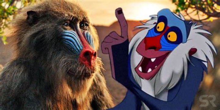Rafiki in The Lion King: The Wise Mentor Behind the Pride