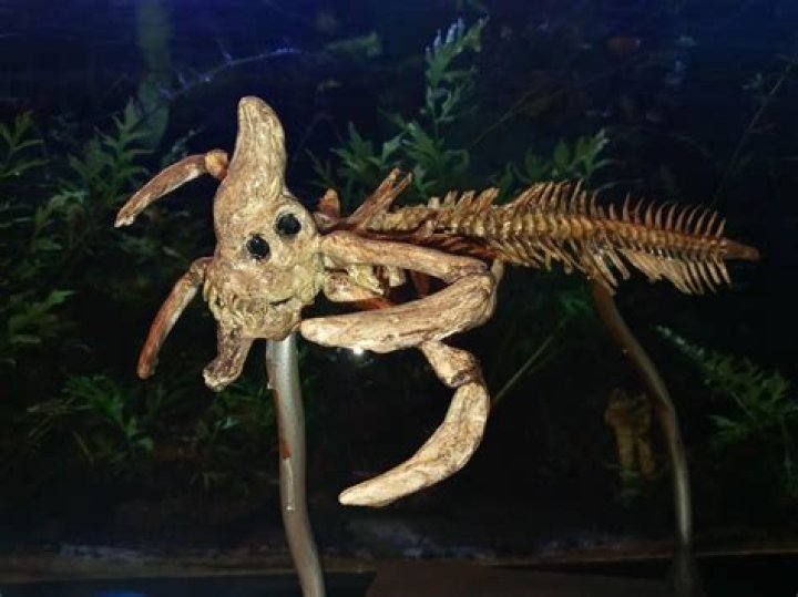 Unveiling the Real Reaper Leviathan: A Comprehensive Analysis