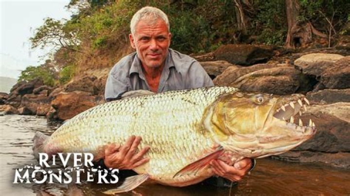 River Monsters: Exploring the Fascinating and Terrifying World Beneath the Water