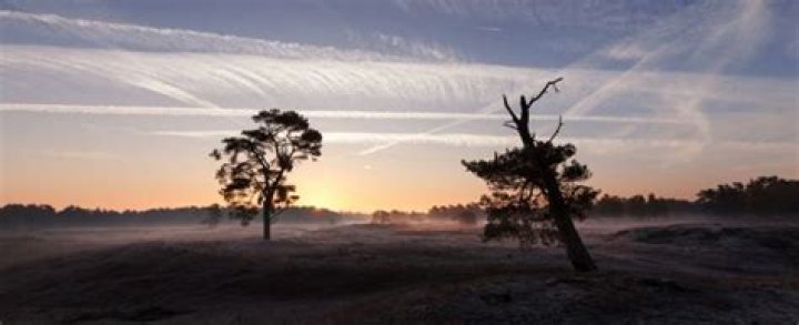 Unveiling the Phenomenon of Robkater: A Comprehensive Guide