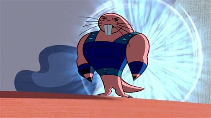 Rufus Kim: A Rising Star in the Entertainment Industry