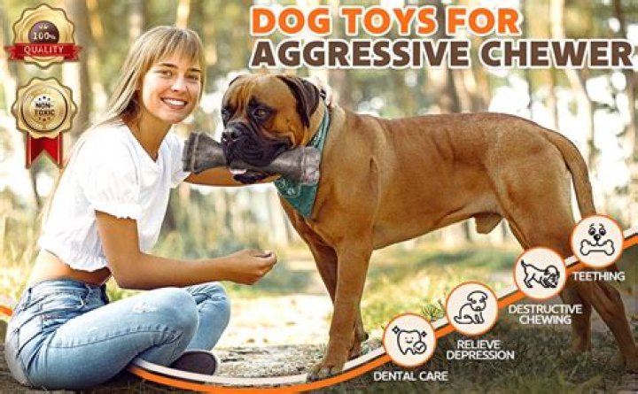 Safe Dog Chews for Aggressive Chewers: A Comprehensive Guide for Pet Owners