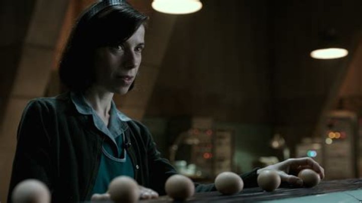 Sally Hawkins Filmography: Celebrating a Talented Actress
