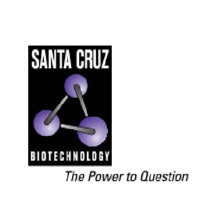 Santa Cruz Bio: A Comprehensive Look at the Life and Achievements of Santa Cruz