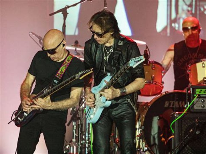 Satriani Likes Berried L: An In-Depth Exploration