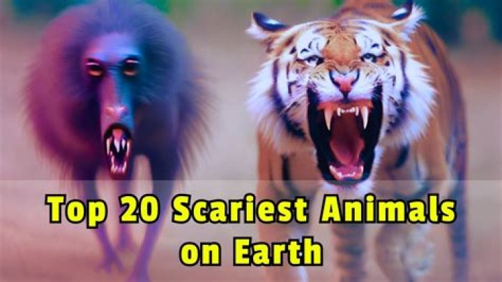 The Scariest Beasts: Exploring the Most Terrifying Creatures in the World