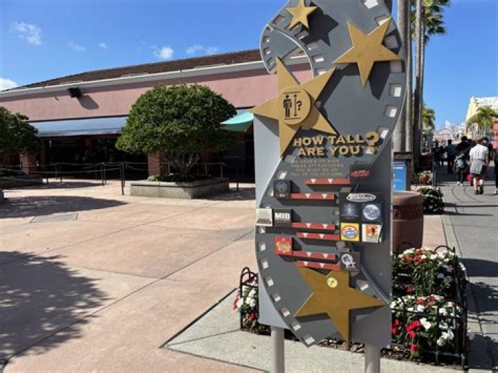 Discovering the Truth About Seahimooka Height: A Comprehensive Guide