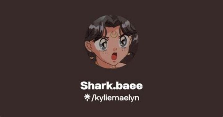 Unveiling the Success Story: Shark.Baee OnlyFans