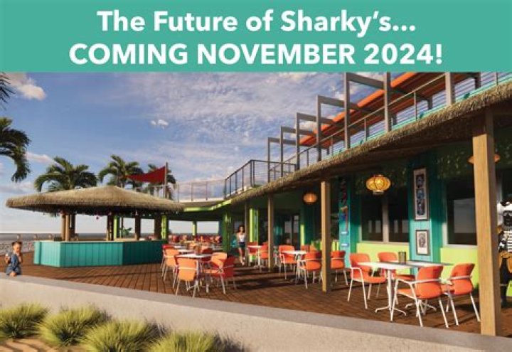 Sharky's on the Pier Webcam Live Cam: Your Ultimate Guide to Live Beach Adventures