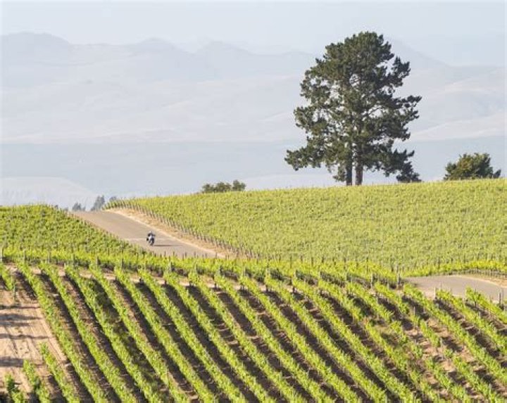 Silverado Napa Valley CA: The Ultimate Guide to a Luxurious Wine Country Experience