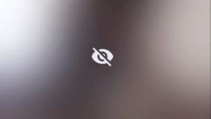 Skirby Dog: The Ultimate Guide to Understanding and Caring for This Adorable Companion