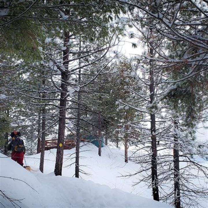 Skyline Yurt Idaho: The Ultimate Guide to Experience Nature in Style