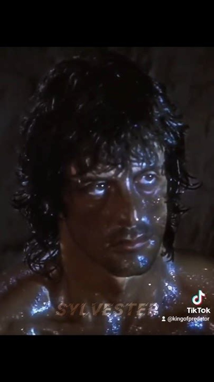 Slyvester Stallone: The Iconic Journey of a Hollywood Legend