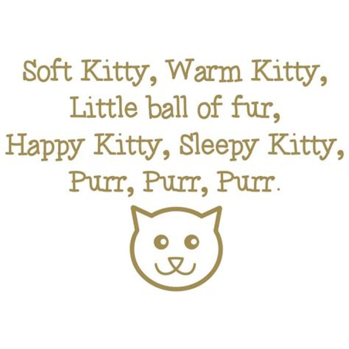 Soft Kitty Warm Kitty Lyrics: A Heartwarming Journey Through Comfort and Healing