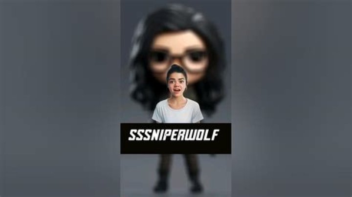 SSSniperWolf Figure: A Comprehensive Guide to the Popular Anime-Inspired Collectible