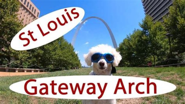 Explore the Iconic St. Louis Arch Tour Tickets: Your Ultimate Guide