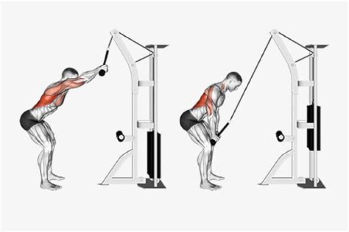 Master the Perfect Standing Lat Pull: A Comprehensive Guide to Building Strength and Muscle
