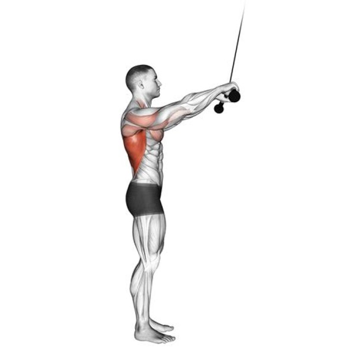 Master the Standing Lats Pull Down: The Ultimate Guide to Building a Stronger Back