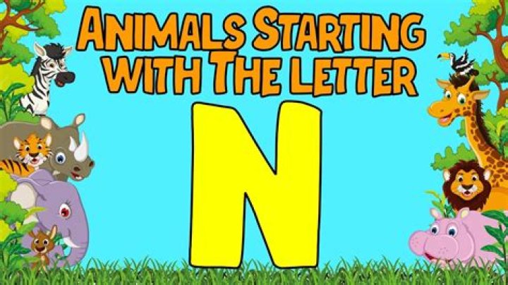 Starign for October: A Comprehensive Guide to the Monthly Constellation Highlights