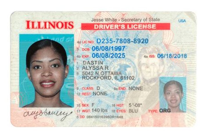 Comprehensive Guide to State of Illinois License Lookup