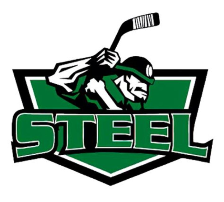 Steel Hockey: The Ultimate Guide to the Thrilling Sport