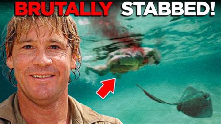 Steve Irwin: The Legacy and Tragic Death That Shook the World