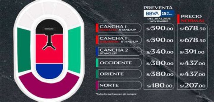 Stray Kids in Peru: Exploring the Phenomenon and Impact