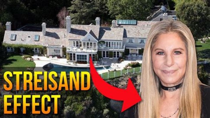 Understanding the Streisand Effect: A Comprehensive Guide