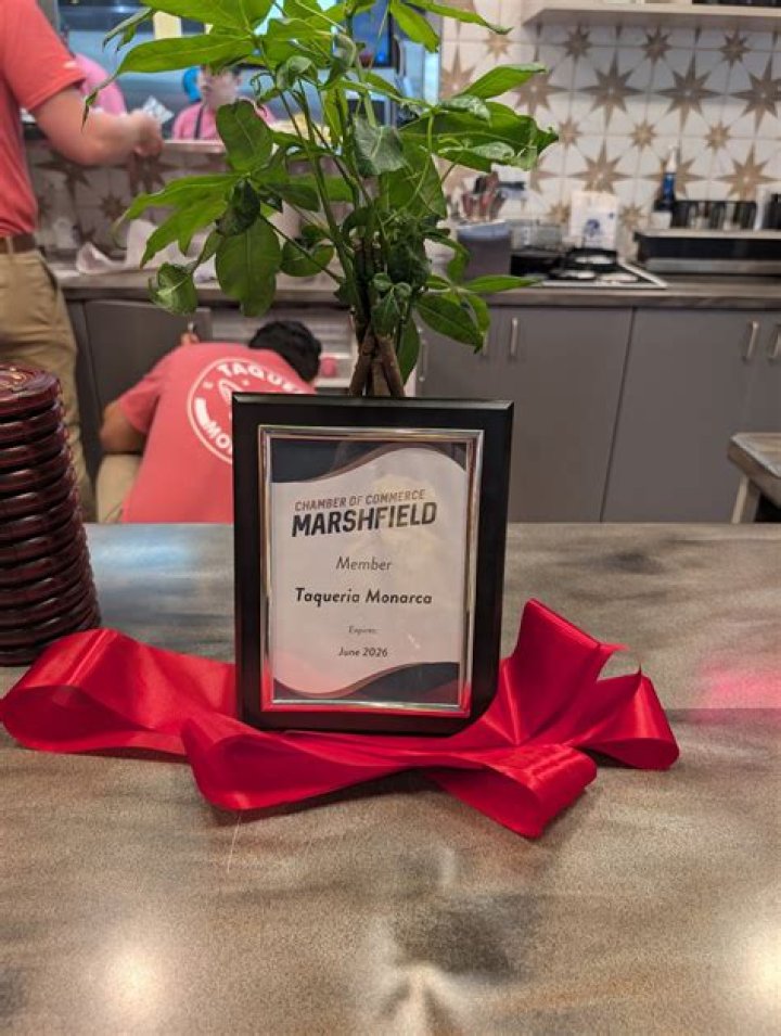 Taqueria Elol Marshfield: Your Ultimate Mexican Dining Experience