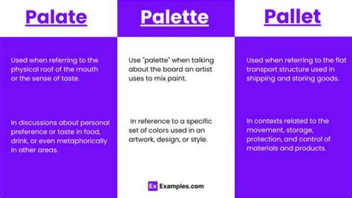 Unlock Your Senses: A Comprehensive Guide to Taste Palette
