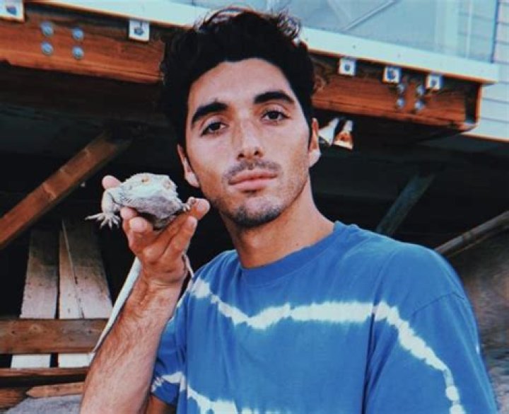 Taylor Zakhar Perez Height: A Comprehensive Guide