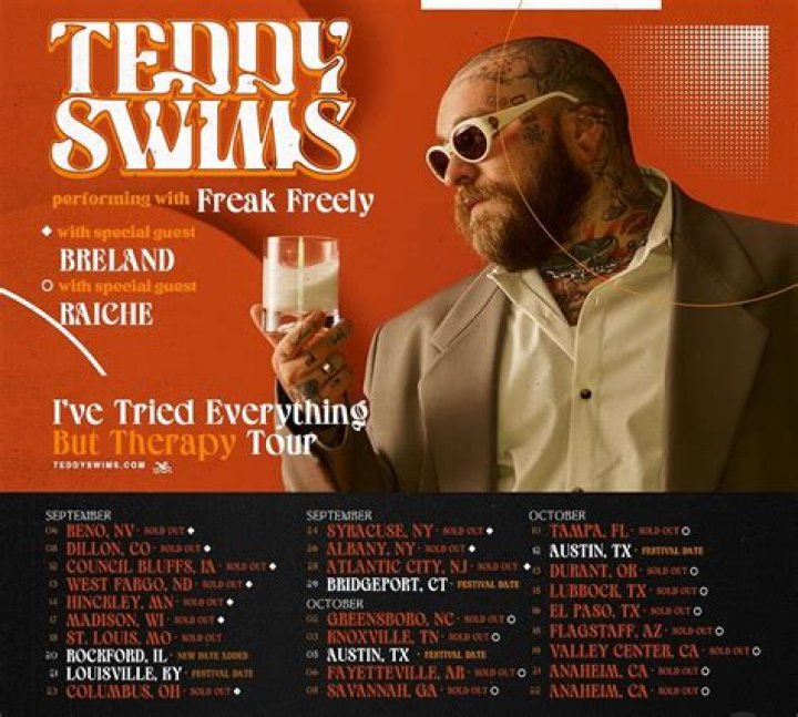 Teddywims Music Genre: Exploring the Unique Sound and Influence