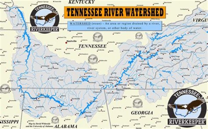 Tennessee River Water Temperature in Chattanooga TN: Your Ultimate Guide