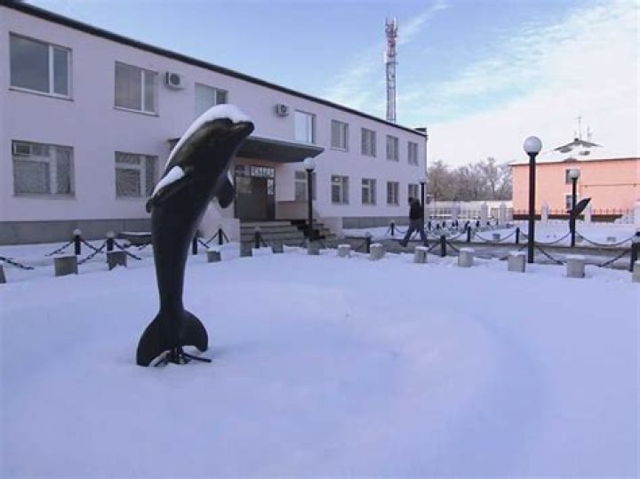 The Black Dolphin Prison in Russia: A Deep Dive Into the Most Infamous Penitentiary