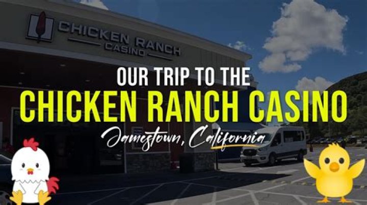 The Chicken Ranch LV: A Comprehensive Guide to This Iconic Nevada Attraction