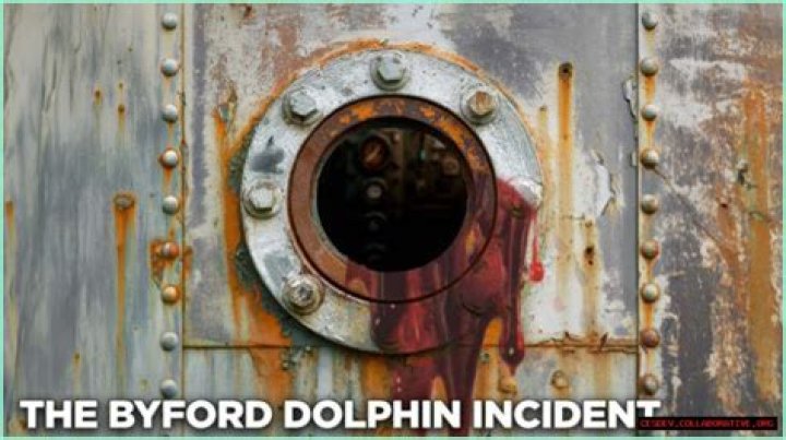 The Dolphin Incident: A Comprehensive Analysis of the Event That Captured Global Attention