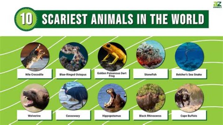 The World's Scariest Animals: A Terrifying Journey Through Nature