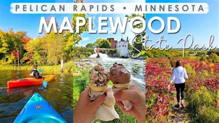 Top Things to Do in Maplewood MN: Your Ultimate Guide