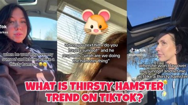 Thirsty Hamster Trend TikTok: The Viral Sensation Taking Over Social Media