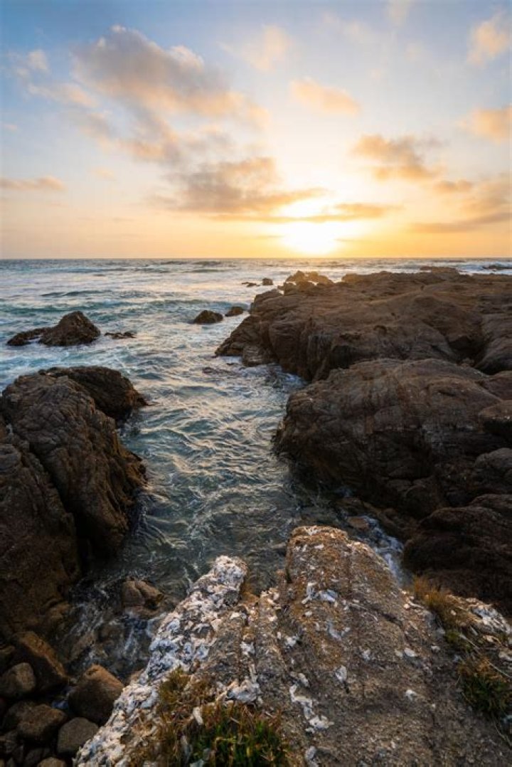 Tide Pools in Monterey CA: A Hidden Gem for Nature Enthusiasts