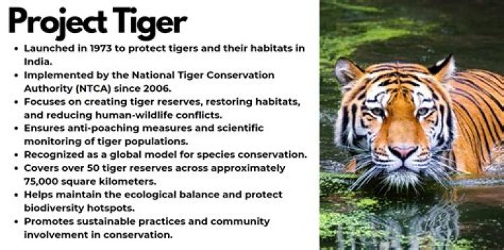 Tiger's Natural Habitat: Discovering the Majestic Realms of the World's Largest Cat