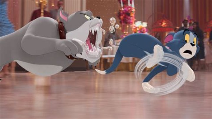 Tom and Jerry 2020 Cast: A Comprehensive Guide to the All-Star Lineup