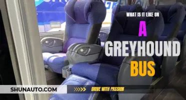 Exploring the Joys and Practicalities of Traveling on a Greyhound Bus