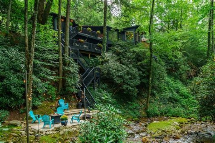 Discover the Hidden Gem: Treehouse Vineyard North Carolina