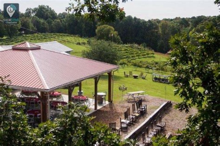 Discover the Enchanting Beauty of Treehouse Vineyards NC