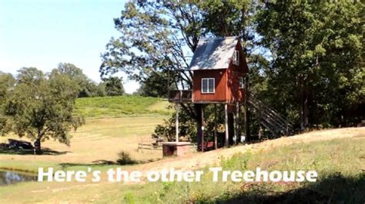 Discover the Hidden Gem: Treehouse Winery in Monroe