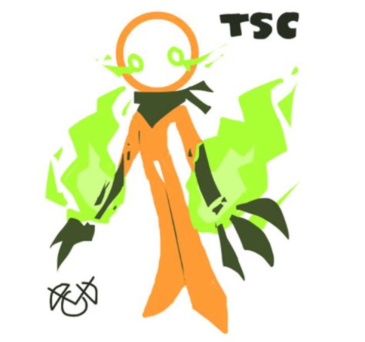 TSC Fencing Supplies: Your Ultimate Guide to High-Quality Fencing Products