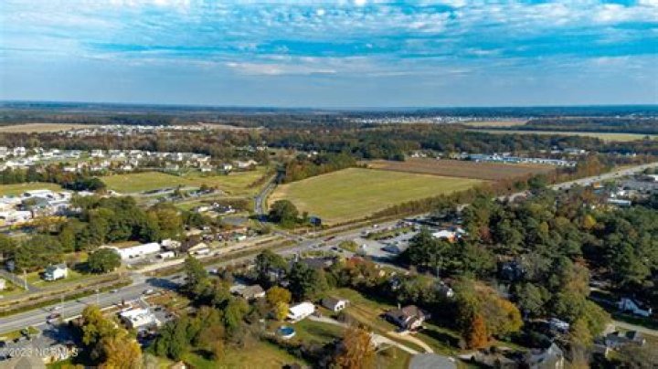 Unveiling the Power of Tulls: A Comprehensive Guide