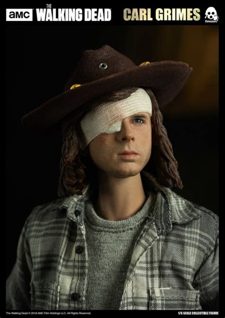Unveiling the Iconic TWD Carl: A Comprehensive Exploration of the Character